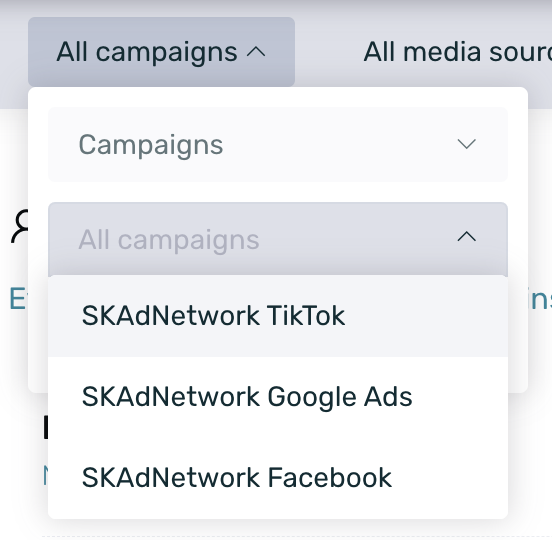 skan_network_campaigns.png